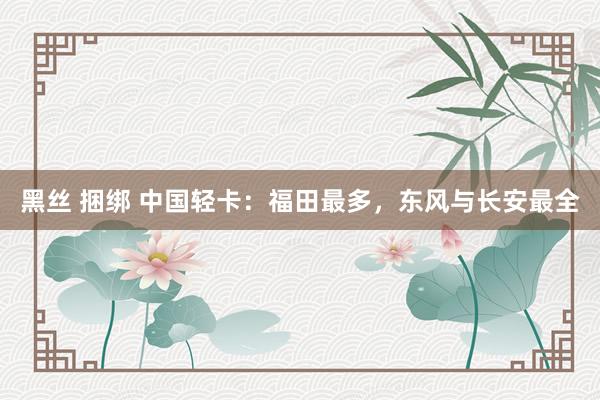 黑丝 捆绑 中国轻卡：福田最多，东风与长安最全