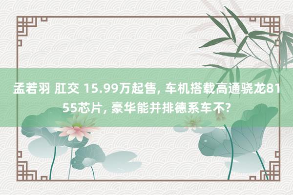 孟若羽 肛交 15.99万起售， 车机搭载高通骁龙8155芯片， 豪华能并排德系车不?