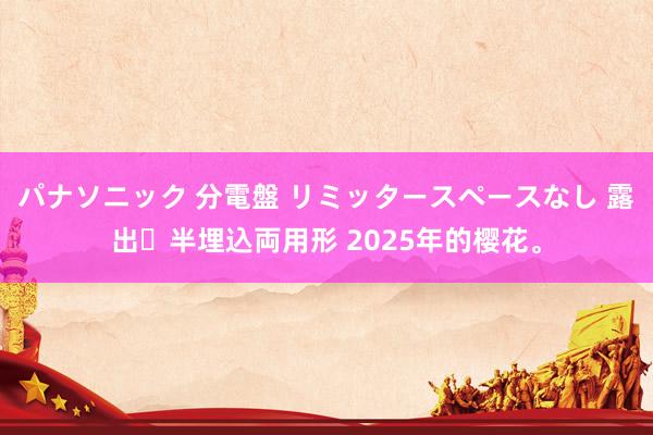 パナソニック 分電盤 リミッタースペースなし 露出・半埋込両用形 2025年的樱花。