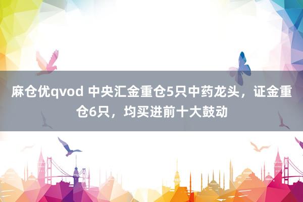 麻仓优qvod 中央汇金重仓5只中药龙头，证金重仓6只，均买进前十大鼓动